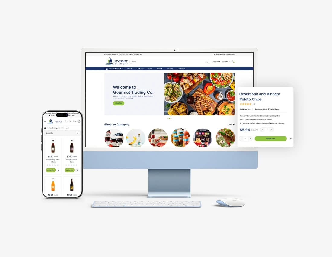 Ecommerce Website Design Toronto